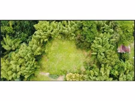 à vendre – grand terrain à bâtir de 6 130 m² à ajoupa-bouillon (martinique)  martinique