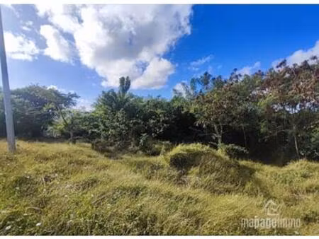 vends terrain avec petite bâtisse  cap macré  le marin  martinique