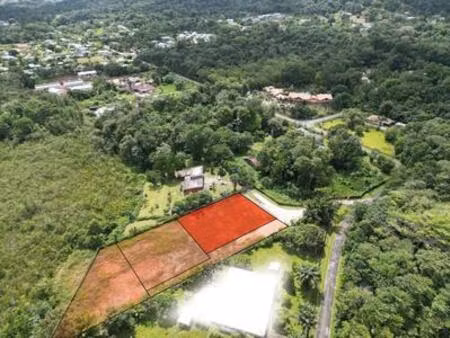 dpt guyane  à vendre matoury terrain constructible de 1184 m²  guyane