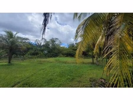 opportunité parcelle à vendre saint laurent du maroni (973)  guyane