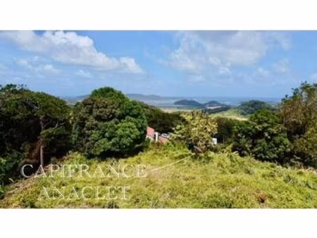 terrain à vendre la trinite (97220) grand terrain de 4525 m² avec vue mer !  martinique