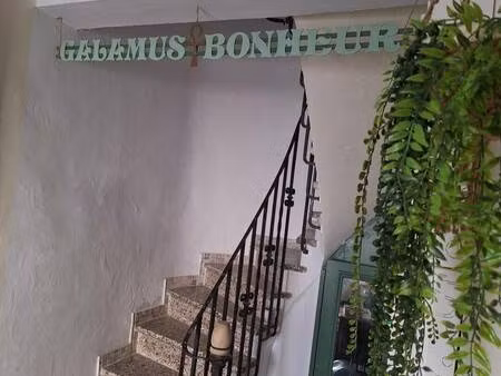 iad france olga tripac