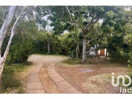 vente terrain 742 m²  réunion