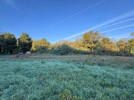 vente terrain à gennes-val-de-loire (49350) : à vendre / 545m² gennes-val-de-loire