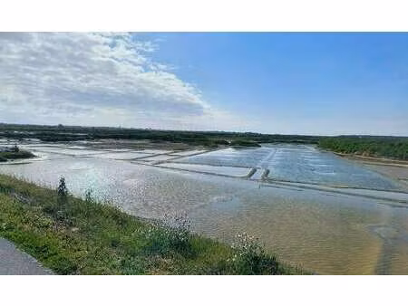 vente maison à batz-sur-mer (44740) : à vendre / 121m² batz-sur-mer