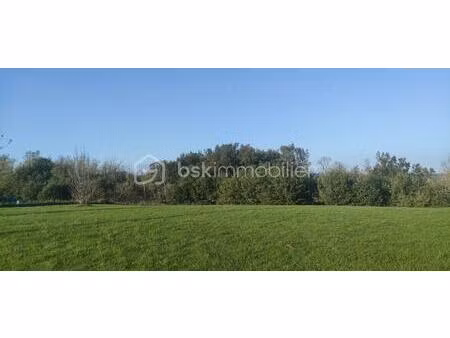 terrain de 1 360 m² à montdurausse