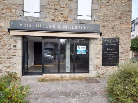 a louer local professionel - coeur de bourg - plescop -