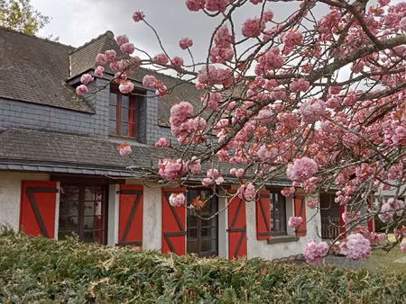 a vendre - soquet immobilier - maison - éréac