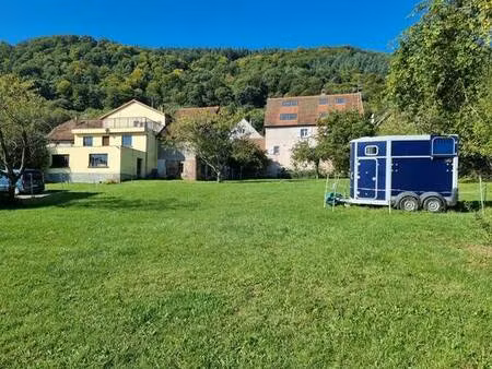 terrain à bâtir 10 50 ares à mollkirch