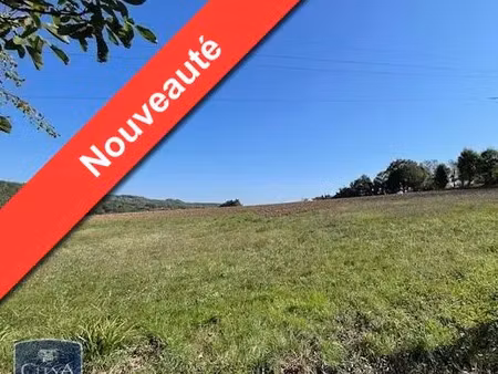 terrain à vendre 3718 m² - pont-du-casse (47) - 111 000€