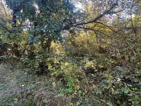 a vendre terrains boisés de1960 m2 commune du change à bassillac et auberoche