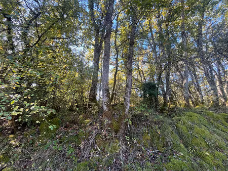 a vendre terrain boisé de 4 630 m2 commune de st vincent sur l'isle