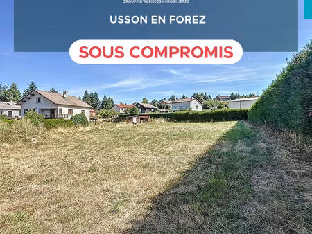terrain constructible à usson en forez (42550) - 1405 m² - viabilisé