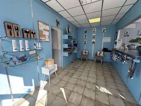 blagnac - local commercial de 33m2 - 713 eur