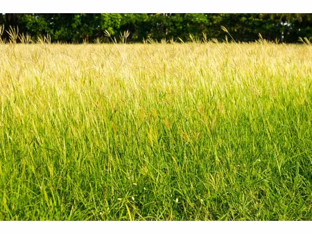 terrain 0 pièces 4209 m² à vendre / acheter bassillac et auberoche 24640 ? | era immobilie