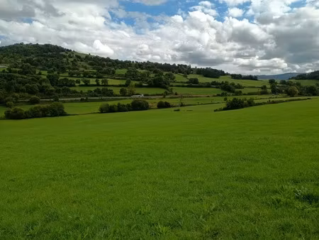 terrain à vendre de 752 00 m² saint diery (63)