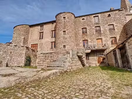 achat maison 12 pièces 700m² grandrieu 48600