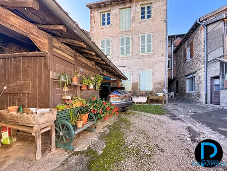 achat immeuble 312m² bage le chatel 01380