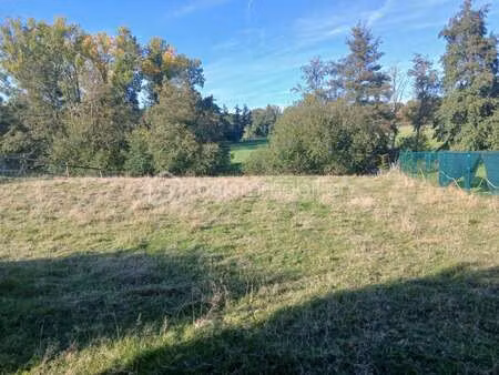 vente terrain à aube (61270) : à vendre / 1250m² aube