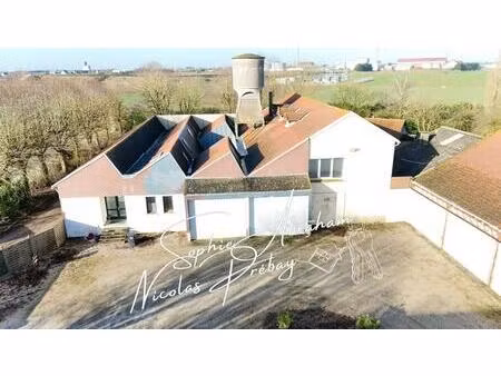 entrepôts et maisons d'habitation sur 2 hectares