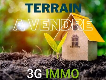 terrain constructible