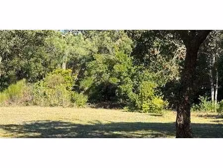 terrain en bord de mer hossegor (40)