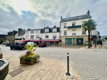 local professionnel à vendre chateauneuf du faou 3 pièce(s) 110m2 99 900€