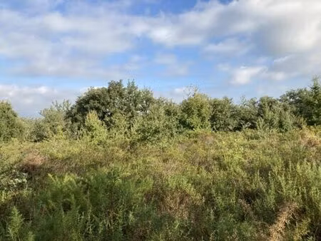 vente terrain 17620m2 villelongue-dels-monts 66740 - 19100 € - surface privée