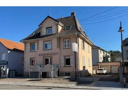 brunstatt petit immeuble de 1929 de 4 lots d'environ 225 m2 dont 3 appartements et un...