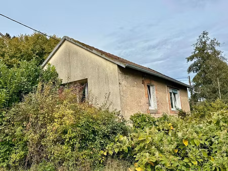 vente maison 3 pièces 38 m² aillevillers-et-lyaumont (70320)