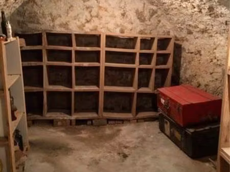 grande cave à vendre paris 13e