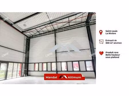 noemie sorgnard réseau maximmo