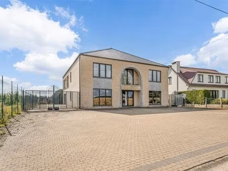 bien professionnel à vendre à zepperen € 540.000 (lfksf) - heylenvastgoed - sint-truiden |