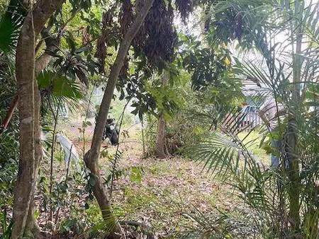 terrain constructible à vendre