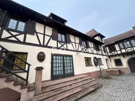 we invest sally sock