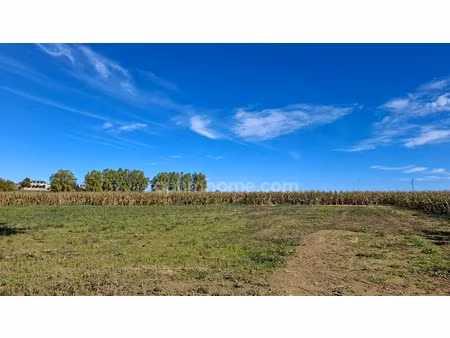 vente terrain 1608 m² à bidache (64520)  38 000 €