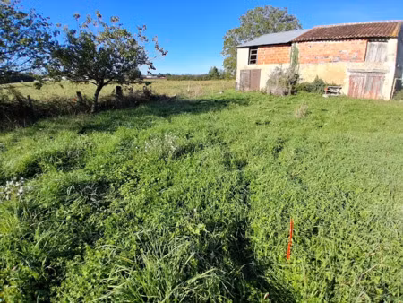 vente terrain 1354 m² à la gripperie-saint-symphorien (17620)  70 000 €