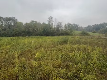 vente terrain 1070 m² à saint-ondras (38490)  80 000 €