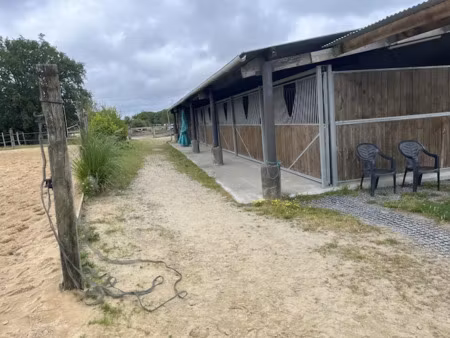 vente locaux professionnels 260000 m² à la chapelle-launay (44260)  494 400 €