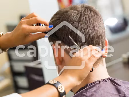 vente locaux professionnels 52 m² à saint-pabu (29830)  142 000 €