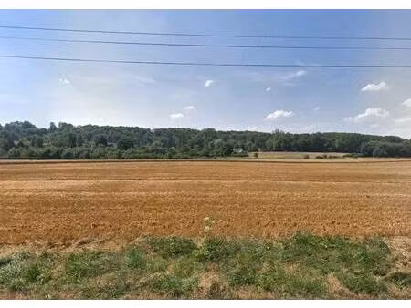 terrain constructible viabilisé à vendre
