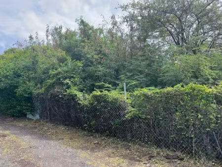 vente terrain 584 m² à bouillante (97125)  80 000 €