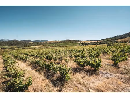 vente terrain à batir 107 m² à cascastel-des-corbières (11360)  130 000 €