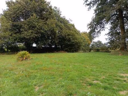 vente terrain à plouay (56240) : à vendre / 871m² plouay