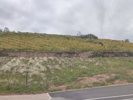 vente terrain 505 m² à katzenthal (68230)  176 750 €