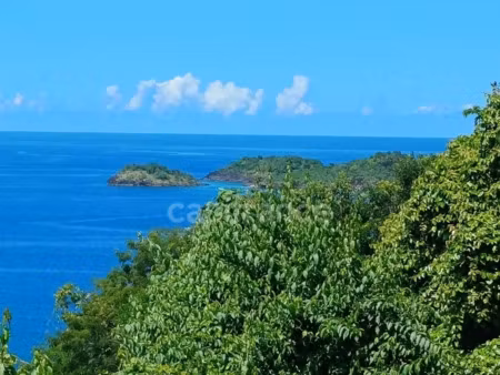 vente terrain 4516 m² à bouillante (97125)  905 522 €