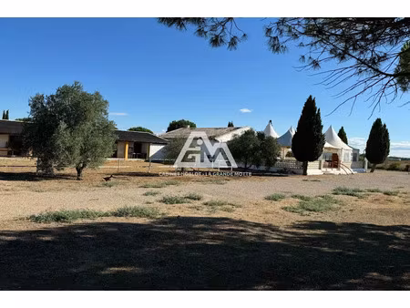 vente terrain 11000 m² à saint-laurent-d'aigouze (30220)  558 000 €