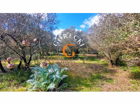 vente terrain à saint-siffret (30700)  215 000 €