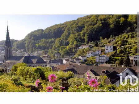 vente immeuble 200 m² à plombières-les-bains (88370)  60 000 €