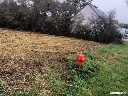 terrain constructible